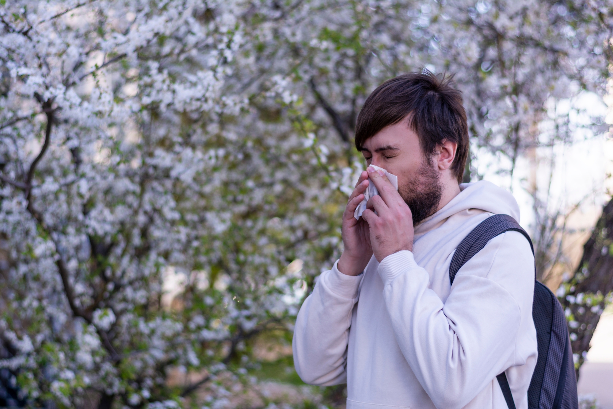 A man sneezing in front of a blossoming cherry tree